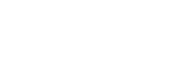 Website Intelligence logo